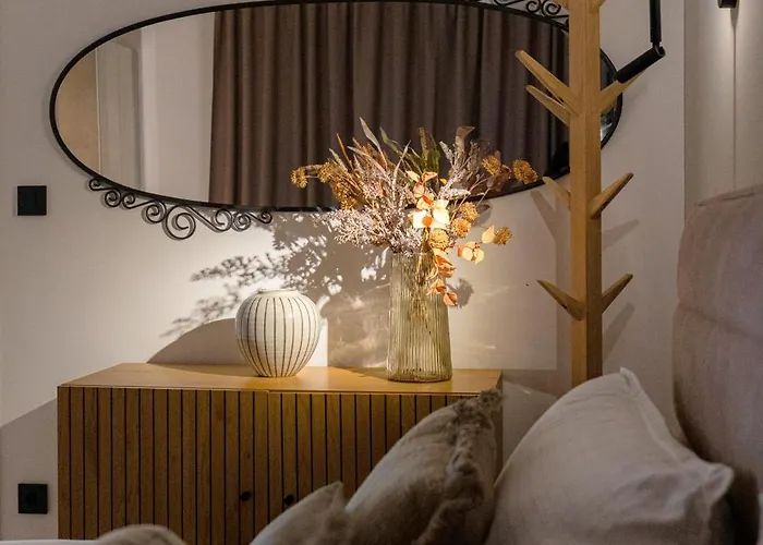 Apartament Barovic - Delux *